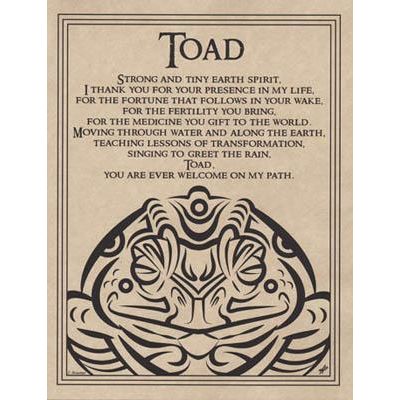 Animal Prayers - Toad-Tarot/Oracle-Azure Green-The Bat Witch Cavern