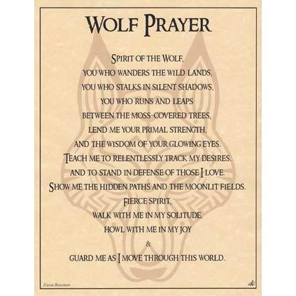 Animal Prayers - Wolf-Tarot/Oracle-Azure Green-The Bat Witch Cavern
