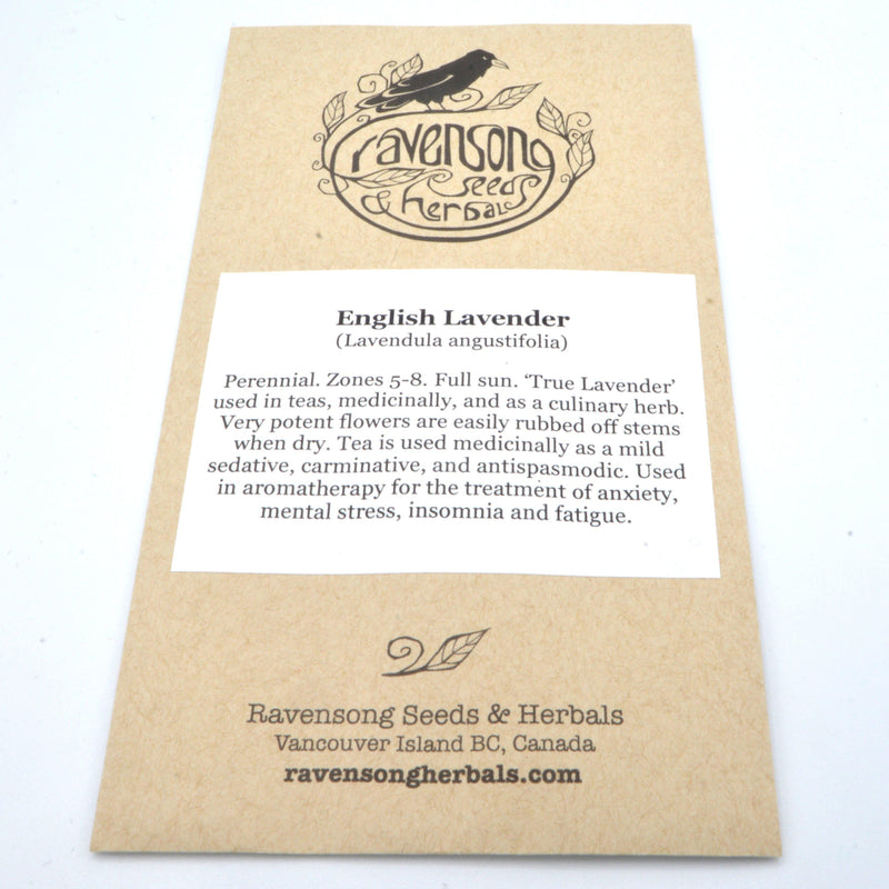 English Lavender Seeds-Scents/Oils/Herbs-RavenSong-The Bat Witch Cavern