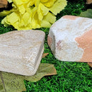 Sandstone Specimens