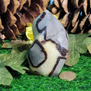 Flamme de jaspe septarien - Spécimen 2 - 479 grammes