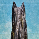 Tour fossile Orthoceras - 13-15" de haut