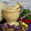 Mortar & Pestle - Fossil Coral Marble - 4"