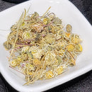 Herbe – Fleur de marguerite de jardin – 1 oz