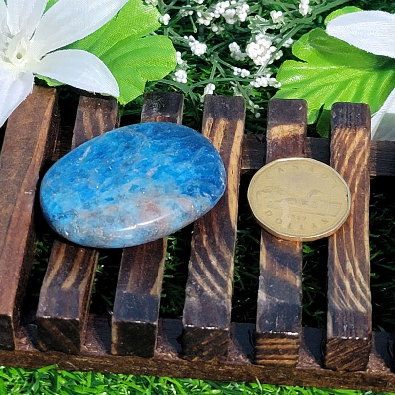 Palm Stone - Blue Apatite 1.5" x 2" (Small)