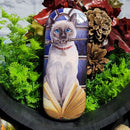 Étui en verre œil de chat Hocus Pocus par Lisa Parker