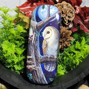 Étui en verre pour les yeux de contes de fées (hibou) par Lisa Parker