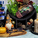 Absinthe (Black Cat) Eye Glass Case by Lisa Parker