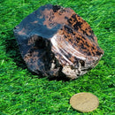 Morceau d'acajou obsidienne