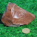 Morceau d'acajou obsidienne