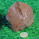 Morceau d'acajou obsidienne