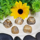 Tableau Pierre roulée Jaspe