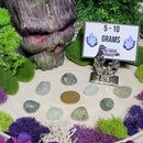 Prehnite with Black Epidote Tumbled Stone