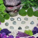 Prehnite with Black Epidote Tumbled Stone