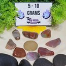 Petrified Wood Tumbled Stone