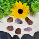 Petrified Wood Tumbled Stone