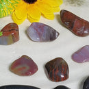 Petrified Wood Tumbled Stone