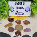 Petrified Wood Tumbled Stone