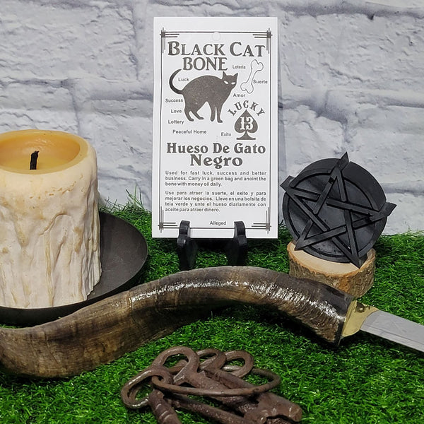 Curio - Black Cat Bone Root