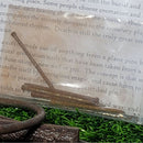 Curio - Coffin Nails (Set of 5)