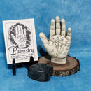 Main de chiromancie avec guide