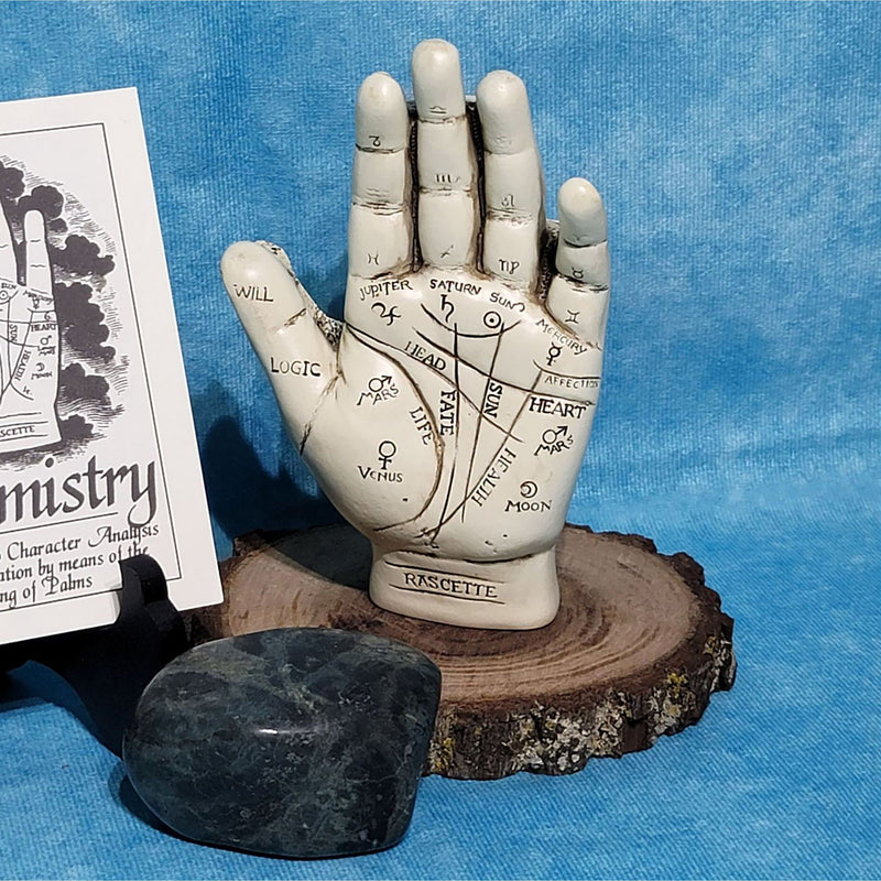 Palmistry Hand w/Guide