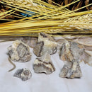 Jaspe septarien - Pépite brute