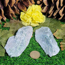 Rough Nugget - Jade Nephrite