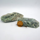 Rough Nugget - Jade Nephrite-Rock Tumbling-Stone Bridge Imports-141grams-The Bat Witch Cavern