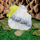 Rough Nugget - Zebra Onyx