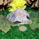 Nugget brut - Tourmaline noire avec feldspath