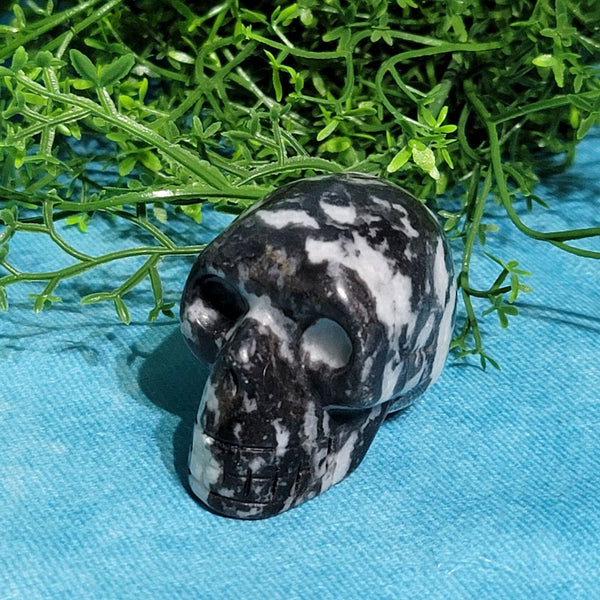 Zebra Jasper Skull 1.5"