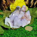 Spirit Quartz Clusters - Variants