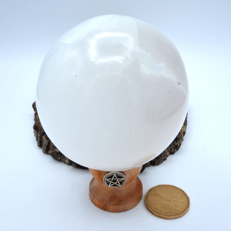 Sphere - Selenite 2.5 to 3"-Crystal/Stones-Kheops-The Bat Witch Cavern