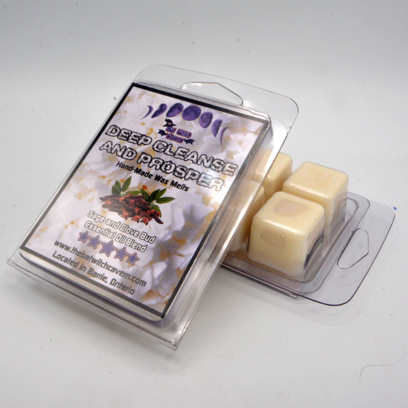 Wax Melts - Paquet Cube (Nettoyage en profondeur et prospérité)