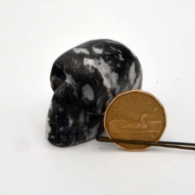 Zebra Jasper Skull 1.5"-Crystal/Stones-Kheops - SR-The Bat Witch Cavern