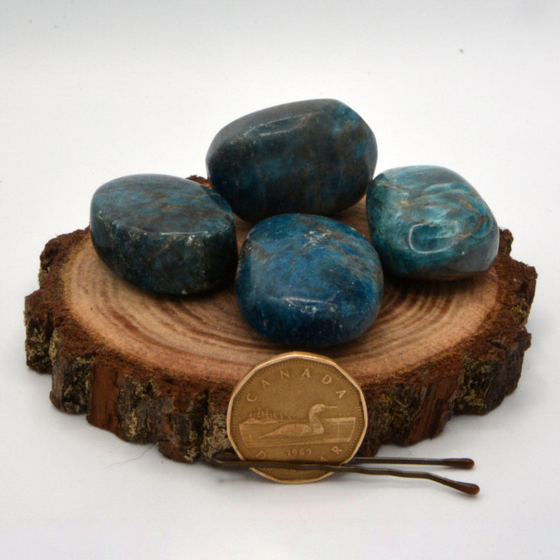 Palm Stone - Blue Apatite 1.5" x 2" (Small)-Crystal/Stones-Kheops - SR-The Bat Witch Cavern