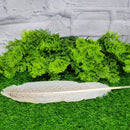 Smoke Cleansing Feather - Turkey Approx. 12"