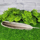 Smoke Cleansing Feather - Turkey Approx. 12"