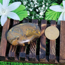 Pierre de Palme - Fer Tigre