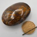 Palm Stone - Tiger Iron-Crystal/Stones-Nature's Expression-The Bat Witch Cavern