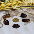 Baltic Amber Nuggets