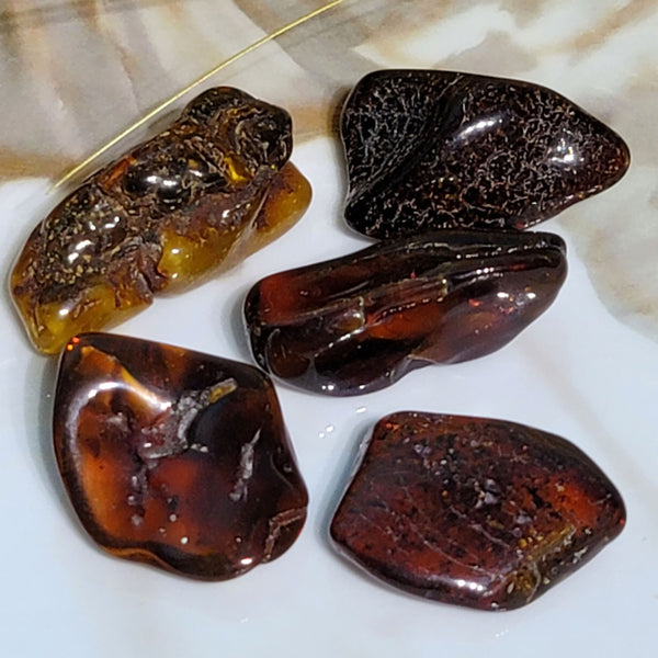 Baltic Amber Nuggets