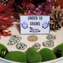 Pierre roulée Jaspe Dalmatien