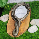 Miroir à main de dragon