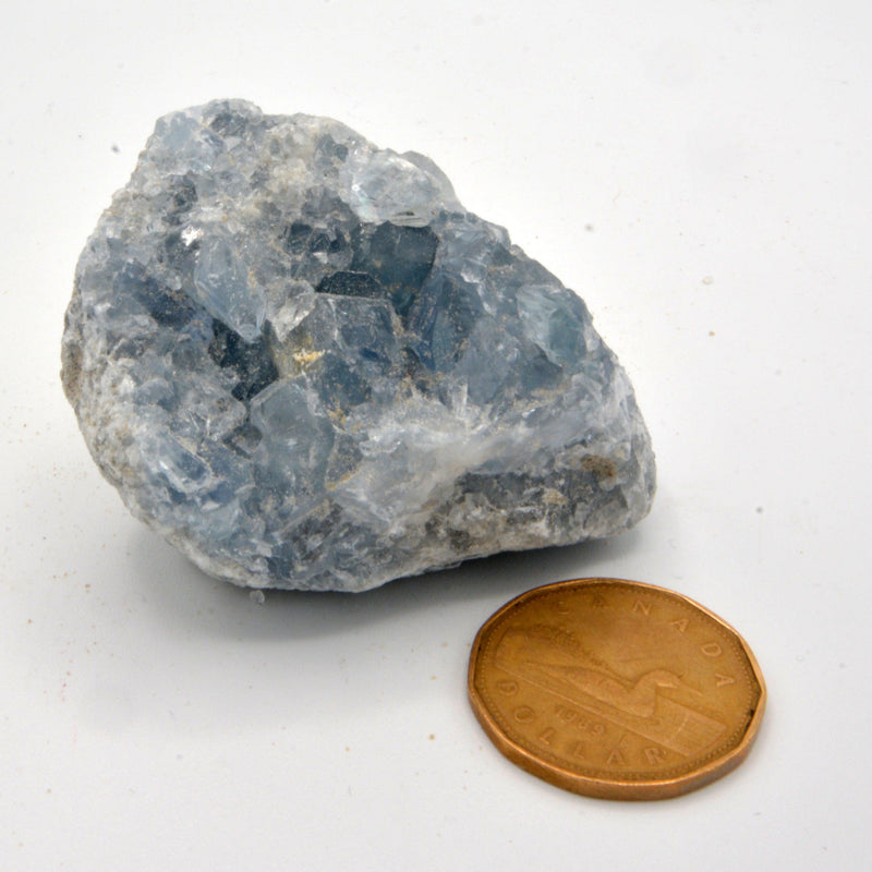 Celestite Clusters - Variants of Each-Rock Tumbling-Kheops-Variant 14 - 186grams-The Bat Witch Cavern