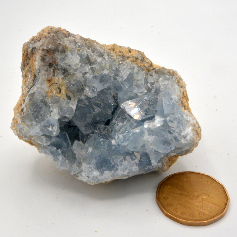 Celestite Clusters - Variants of Each-Rock Tumbling-Kheops-Variant 19 - 261grams-The Bat Witch Cavern