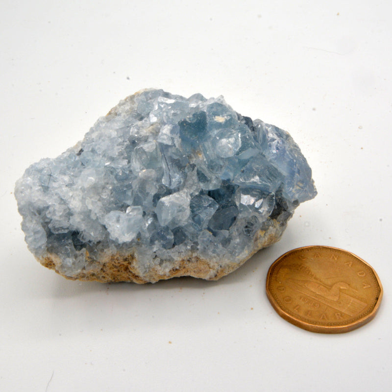 Celestite Clusters - Variants of Each-Rock Tumbling-Kheops-Variant 22 - 186grams-The Bat Witch Cavern