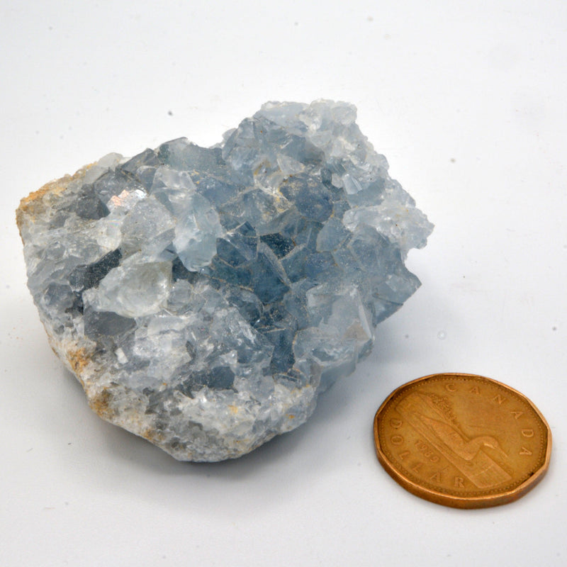 Celestite Clusters - Variants of Each-Rock Tumbling-Kheops-Variant 24 - 223grams-The Bat Witch Cavern