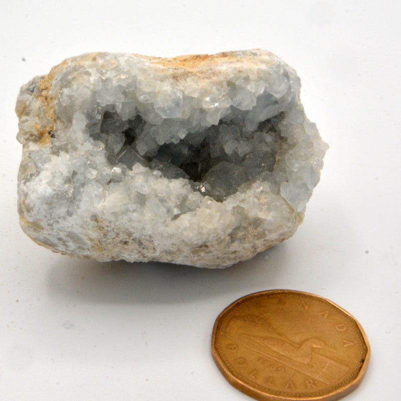 Celestite Clusters - Variants of Each-Rock Tumbling-Kheops-Variant 5 - 159grams-The Bat Witch Cavern